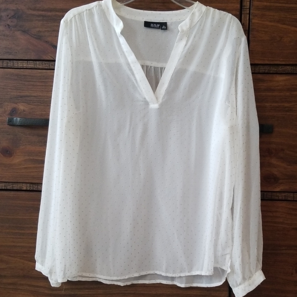 Sheer Gold Accent Blouse